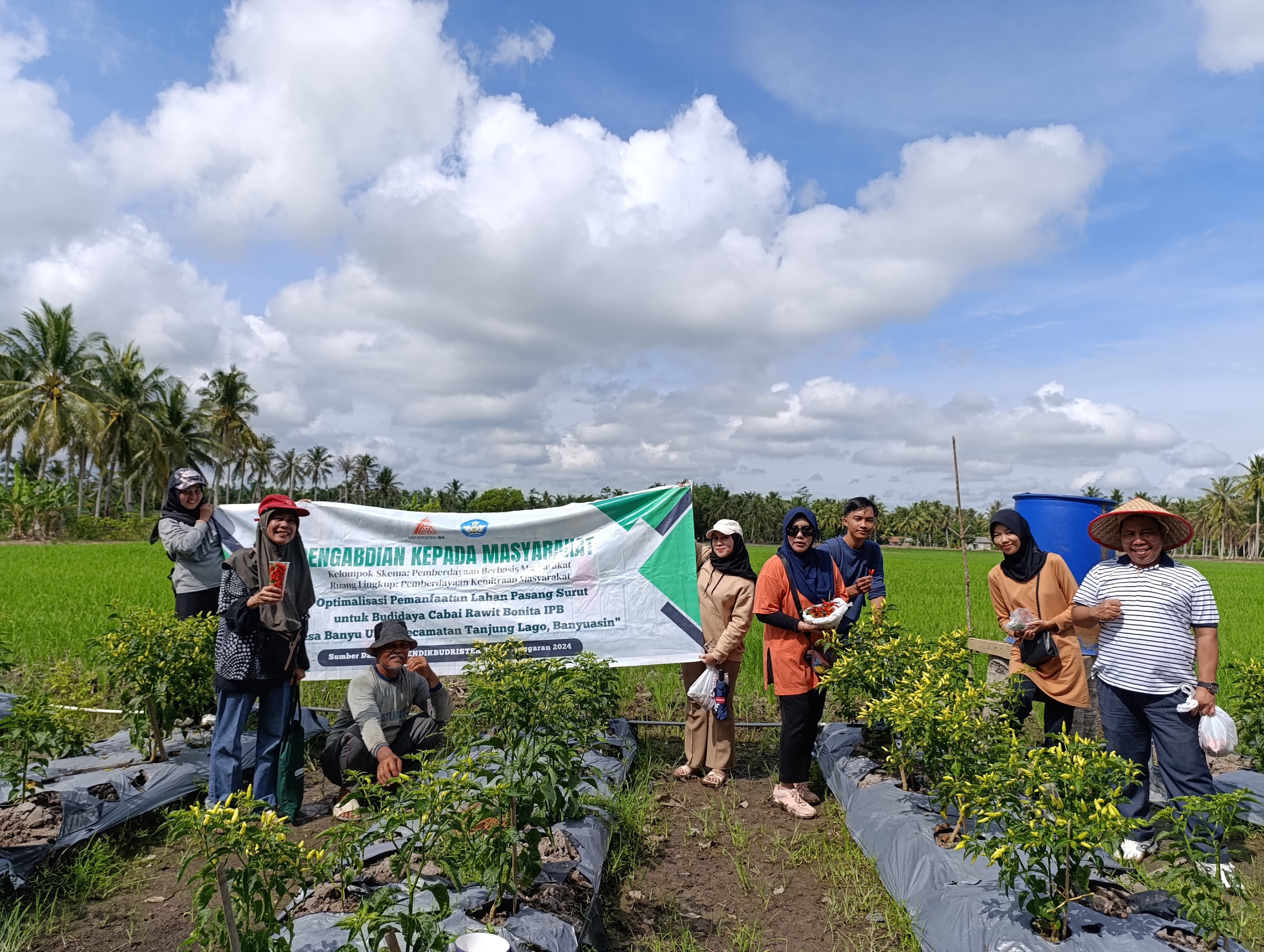 Panen Perdana Cabai IPB Bonita Kegiatan PkM